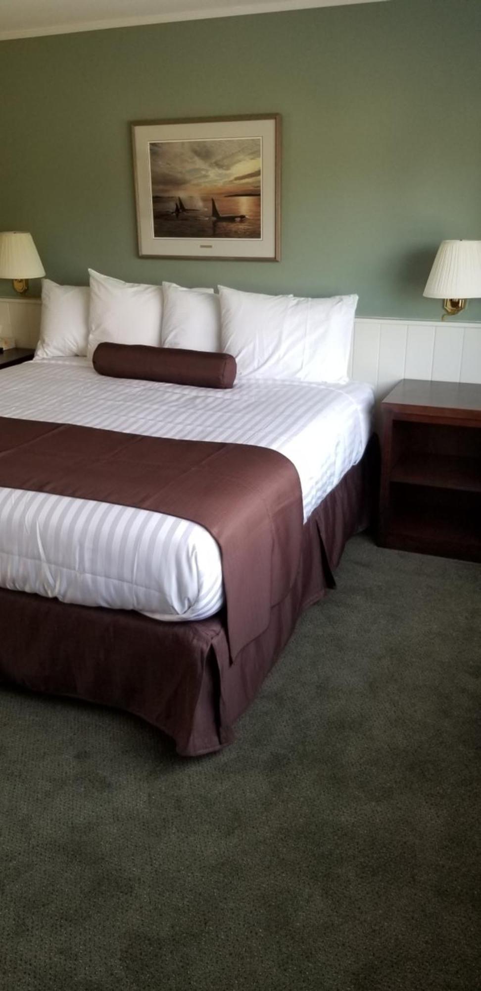 Pacific Rim Motel Ucluelet Zewnętrze zdjęcie
